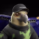 10773