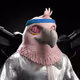 5367