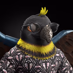 Meta Eagle 1234