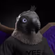 1591