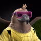 5323