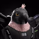11569