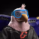 6217