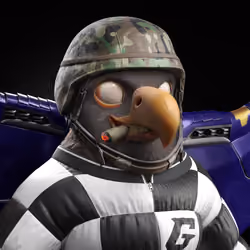 Meta Eagle 243