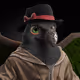 7971