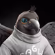 511