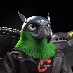 Meta Eagle 5911