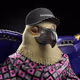 1058