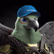 3437
