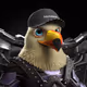 2081