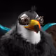 6027