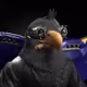 7222