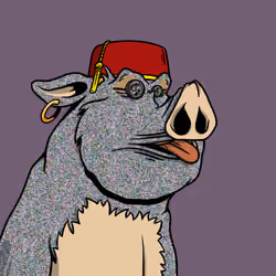 Bored Boars #5176