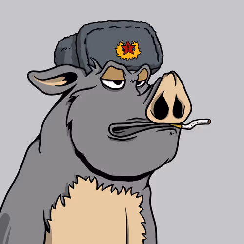 Bored Boars #1133