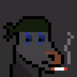 44