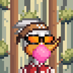 Knockout Pecks #257