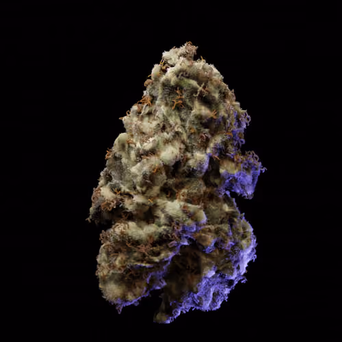 Gorilla Glue