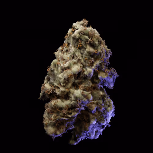 Gorilla Glue