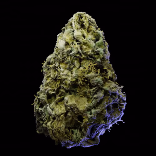 Northern Lights