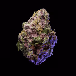 Pink Lemonade