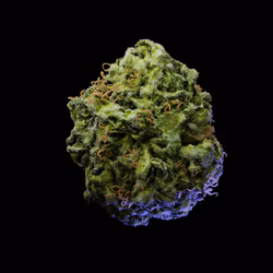 Blue Dream