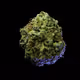 19003