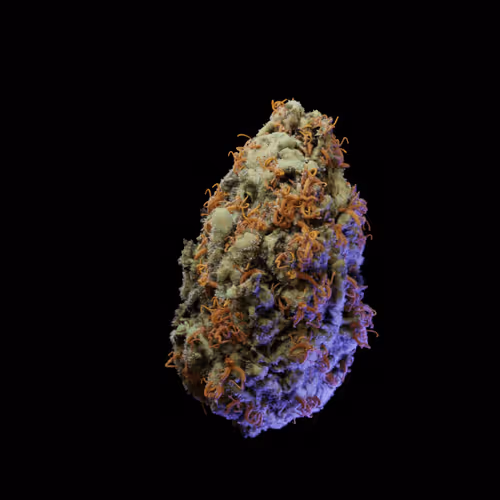 Look Labs 420 Buds
