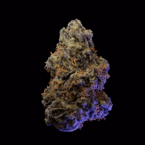 Gelato