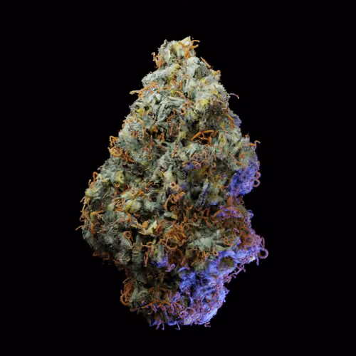 Apple Fritter