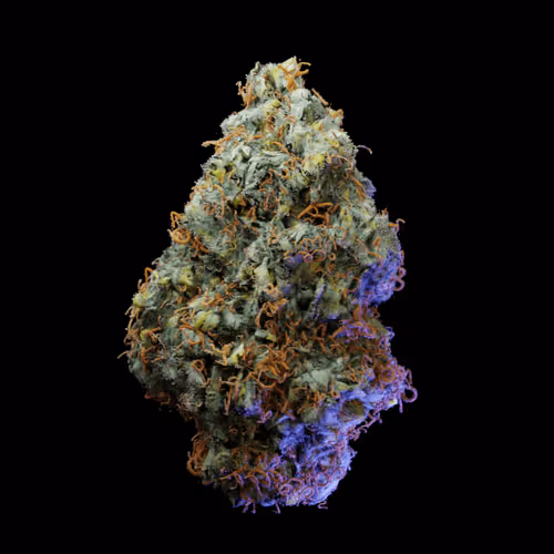 Apple Fritter