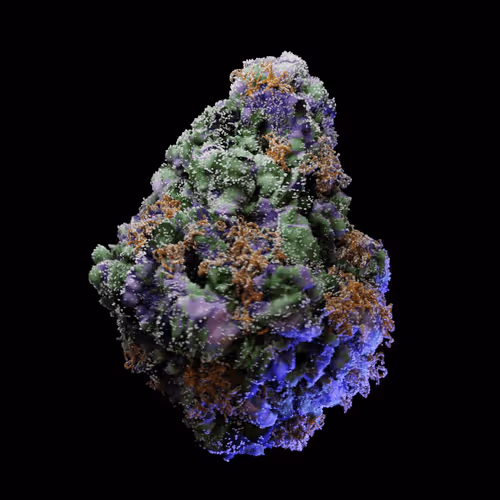 Look Labs 420 Buds