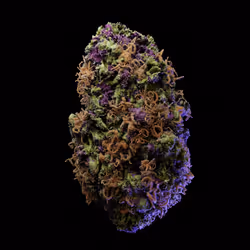 Forbidden Fruit