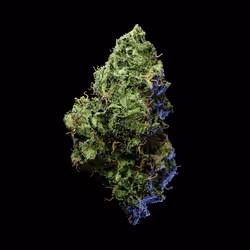 OG Kush