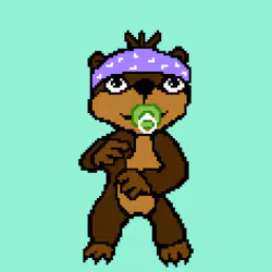 Combat Wombat NFTs #8081