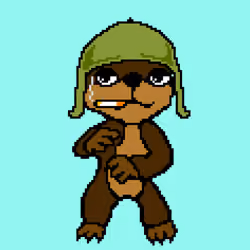 Combat Wombat NFTs #5363