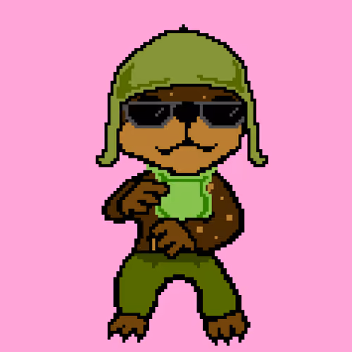 Combat Wombat NFTs #233