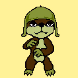 Combat Wombat NFTs #5585