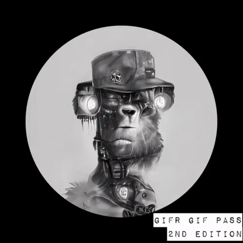 gifr gif pass 2