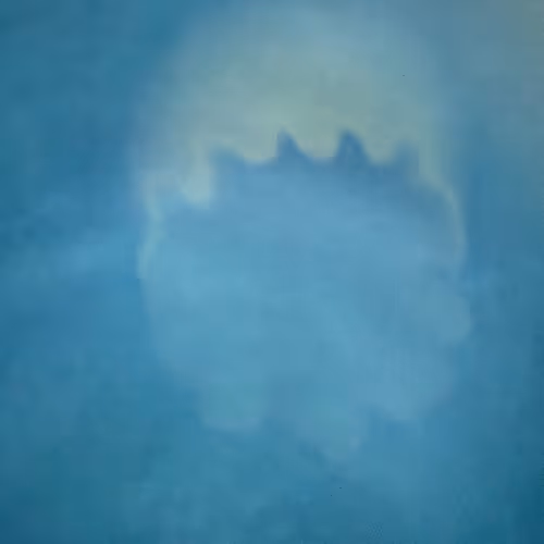 Glass House Art Studios Personal Editions