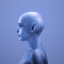 113