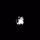 88557894305917749802652520057953835064403668561306975644291785358688475152440