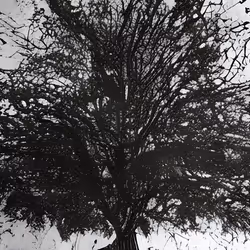 133