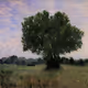 364