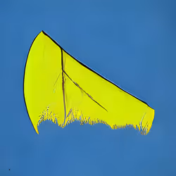 447