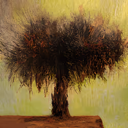 Lost Object #733