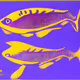 895
