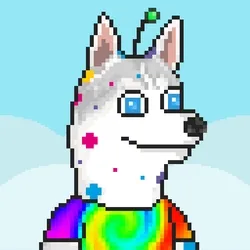 Husky #134
