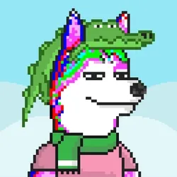Husky #35