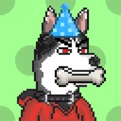 Husky #755