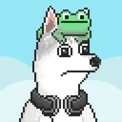 Husky #653